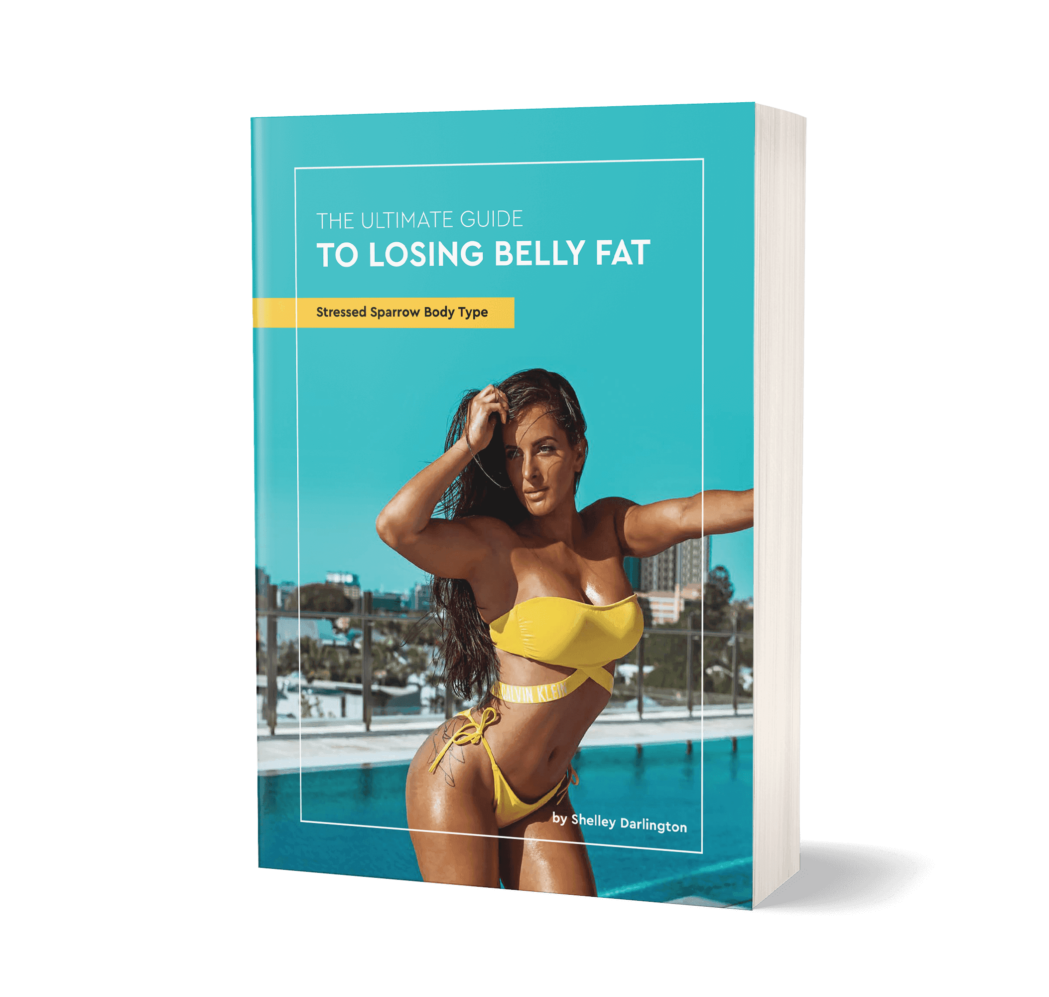 Cover of The Ultimate Guide To Losing Belly Fat
